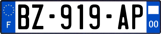 BZ-919-AP