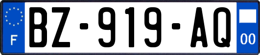 BZ-919-AQ