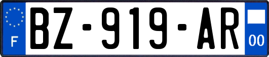 BZ-919-AR