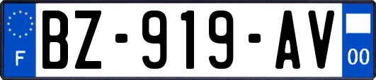 BZ-919-AV