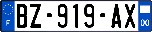 BZ-919-AX