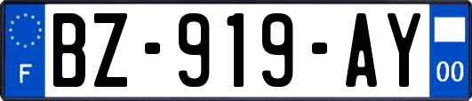 BZ-919-AY