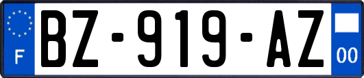 BZ-919-AZ