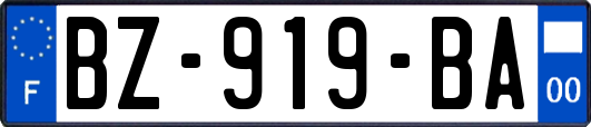 BZ-919-BA