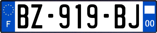 BZ-919-BJ