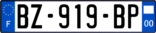 BZ-919-BP