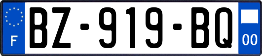 BZ-919-BQ