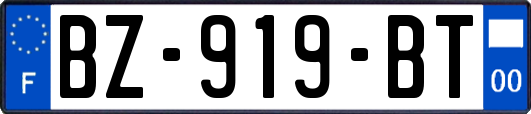 BZ-919-BT