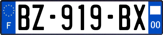 BZ-919-BX