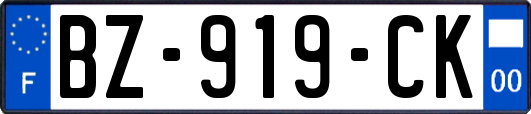 BZ-919-CK