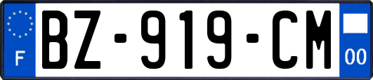 BZ-919-CM