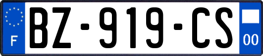 BZ-919-CS