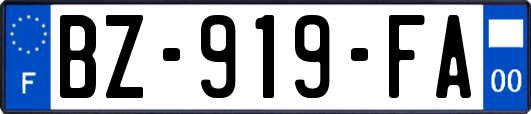 BZ-919-FA