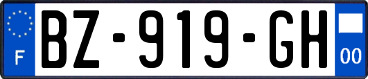 BZ-919-GH