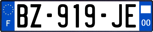 BZ-919-JE