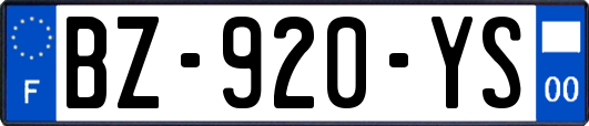 BZ-920-YS