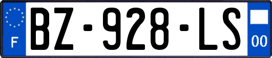 BZ-928-LS