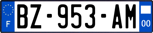 BZ-953-AM