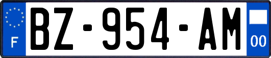 BZ-954-AM