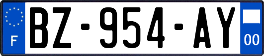 BZ-954-AY