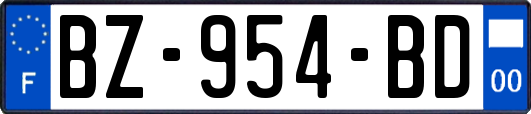 BZ-954-BD