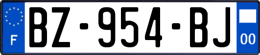 BZ-954-BJ