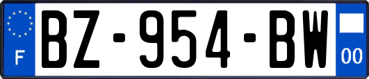 BZ-954-BW