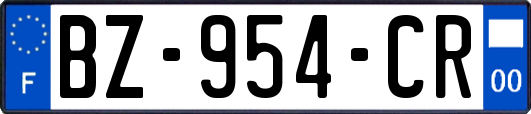 BZ-954-CR