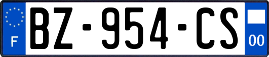 BZ-954-CS