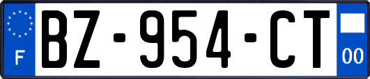 BZ-954-CT