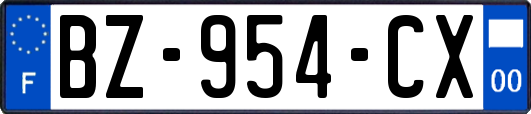 BZ-954-CX