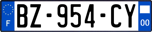 BZ-954-CY