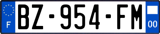 BZ-954-FM