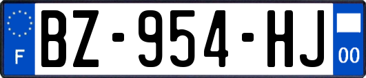 BZ-954-HJ