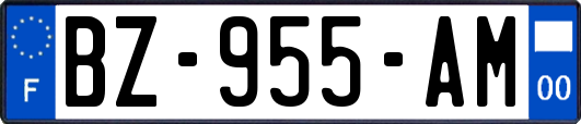 BZ-955-AM