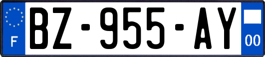 BZ-955-AY