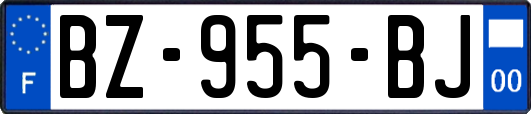 BZ-955-BJ