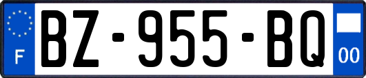 BZ-955-BQ