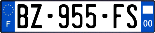 BZ-955-FS