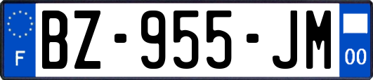 BZ-955-JM