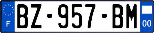 BZ-957-BM