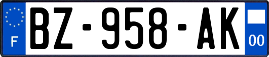 BZ-958-AK