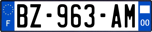 BZ-963-AM