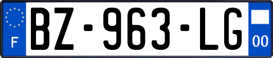 BZ-963-LG