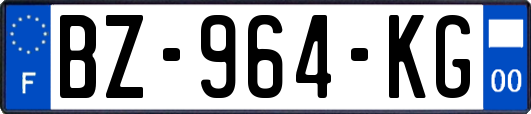 BZ-964-KG