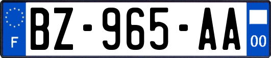 BZ-965-AA