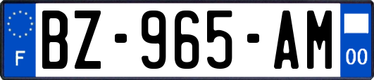 BZ-965-AM