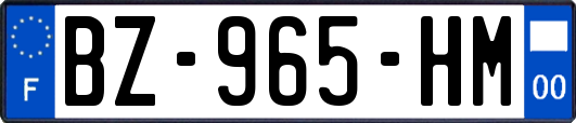 BZ-965-HM