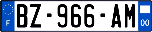 BZ-966-AM