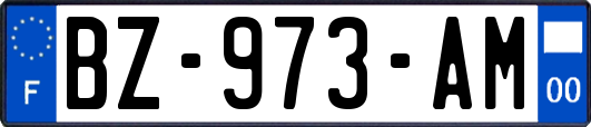 BZ-973-AM